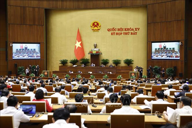 Working week 4, 7th session, 15th National Assembly: Focus on legislative work