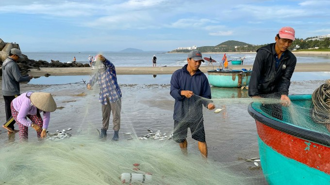 Mr. Le Van Tu (wearing a red cloth hat) and his relatives are removing the net on the morning of November 29. Photo: Tu Huynh