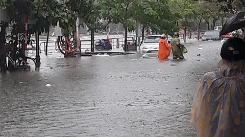 Mobilisation de plus de 600 milliards de VND pour la prévention des catastrophes naturelles