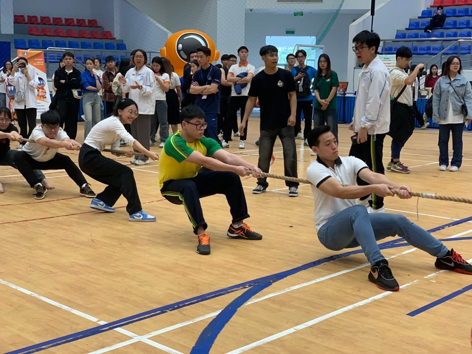 Los estudiantes universitarios tienen Participa en muchas actividades útiles e interesantes.