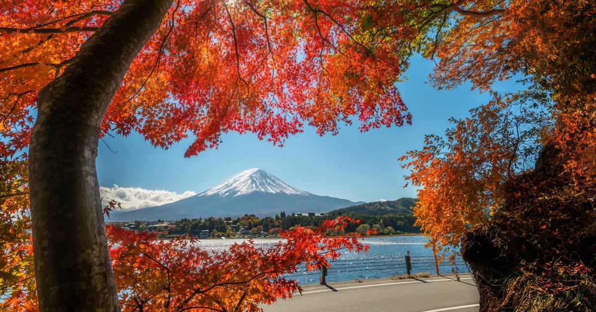 秋に日本で紅葉を観賞するのに最適な場所