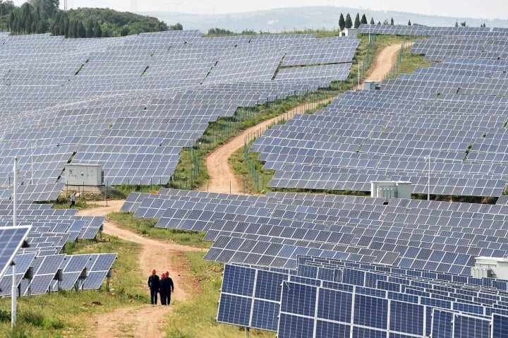 Paneles solares en una planta de energía solar en la provincia de Henan, China. (Foto: Reuters)