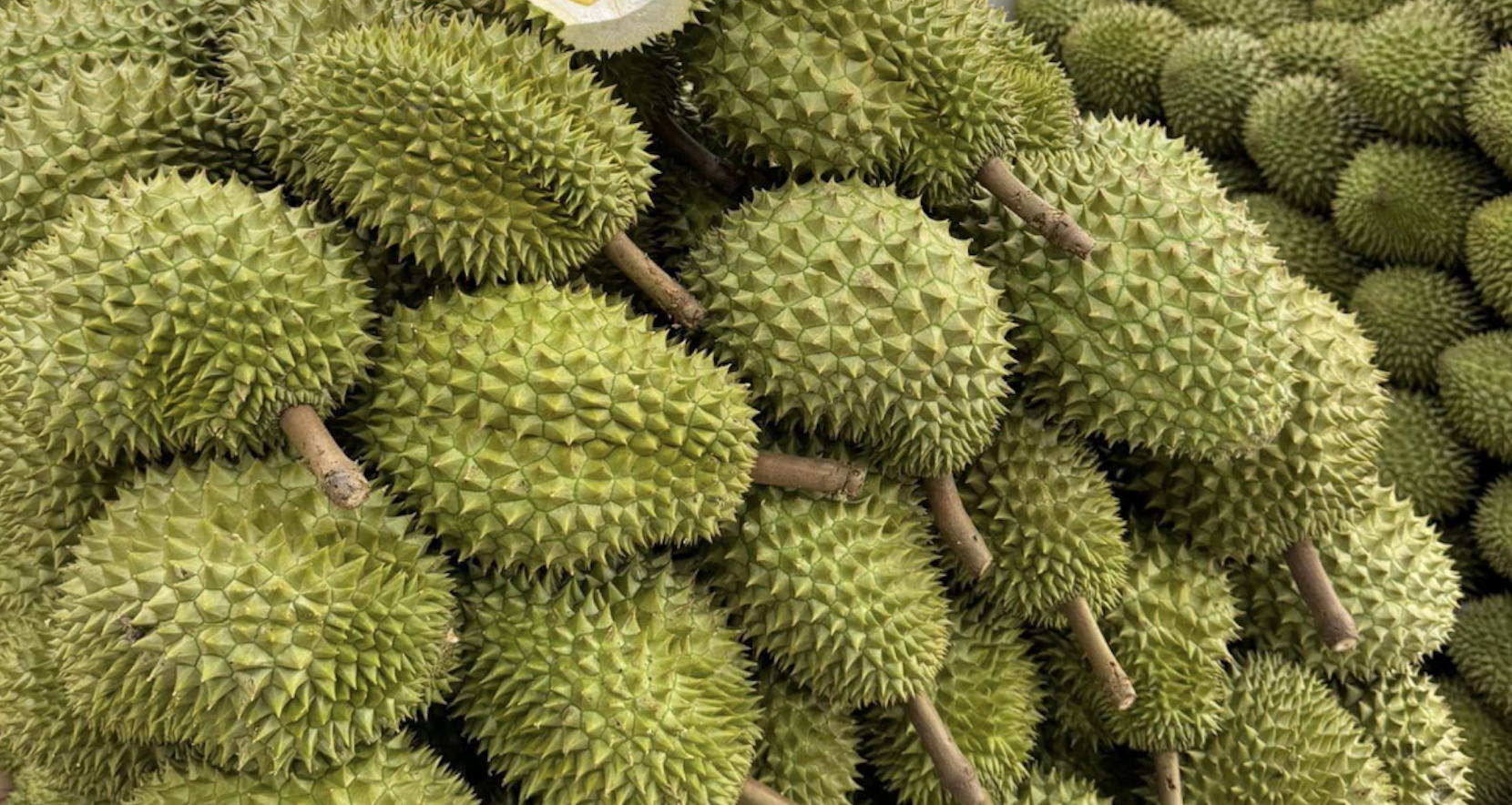 Warning about exported Vietnamese durian containing pesticide residue, complying with food safety