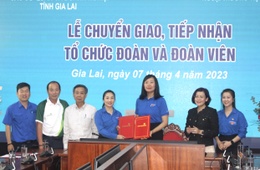 Transferring 2 Youth Union organizations and 135 members to Vietcombank Vietnam Youth Union