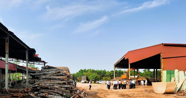 Chấp thuận chủ trương dời nhà máy công ty lâm sản để GPMB cao tốc Vạn Ninh