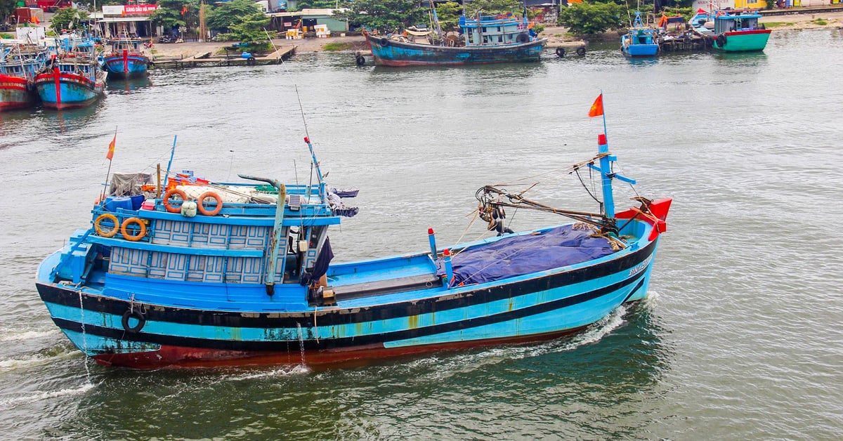 Châu Âu sắp sang thanh tra IUU, Thủ tướng yêu cầu xử lý tàu cá ‘3 không’