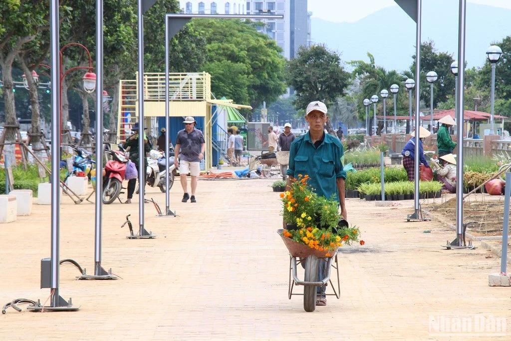 Da Nang urgently completes items to put night tourism products into exploitation photo 2