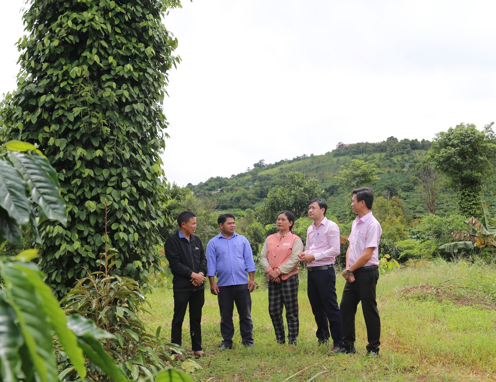 Phòng giao dịch Ngân hàng Chính sách xã hội huyện Tuy Đức, tỉnh Đắk Nông kiểm tra thực tế sử dụng vốn của hộ vay