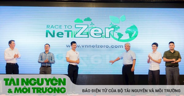 Net Zero và cơ hội đầu tư cho doanh nghiệp trong thị trường các-bon