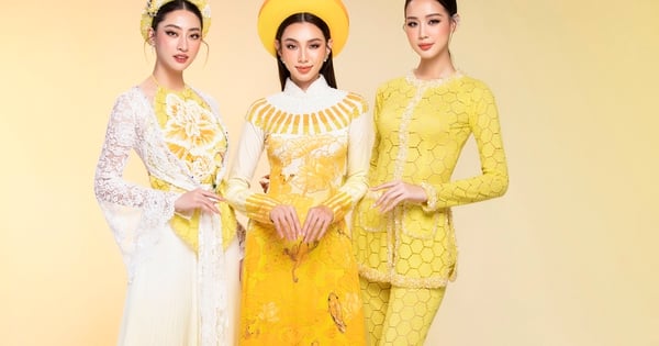 Die Wahl zur Miss Vietnam National findet Anfang 2024 statt.