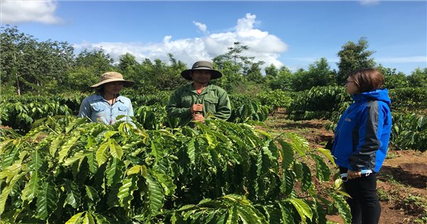 ゴックホイ（コントゥム）：少数民族世帯の100％が居住地と生産地を所有することを目指す