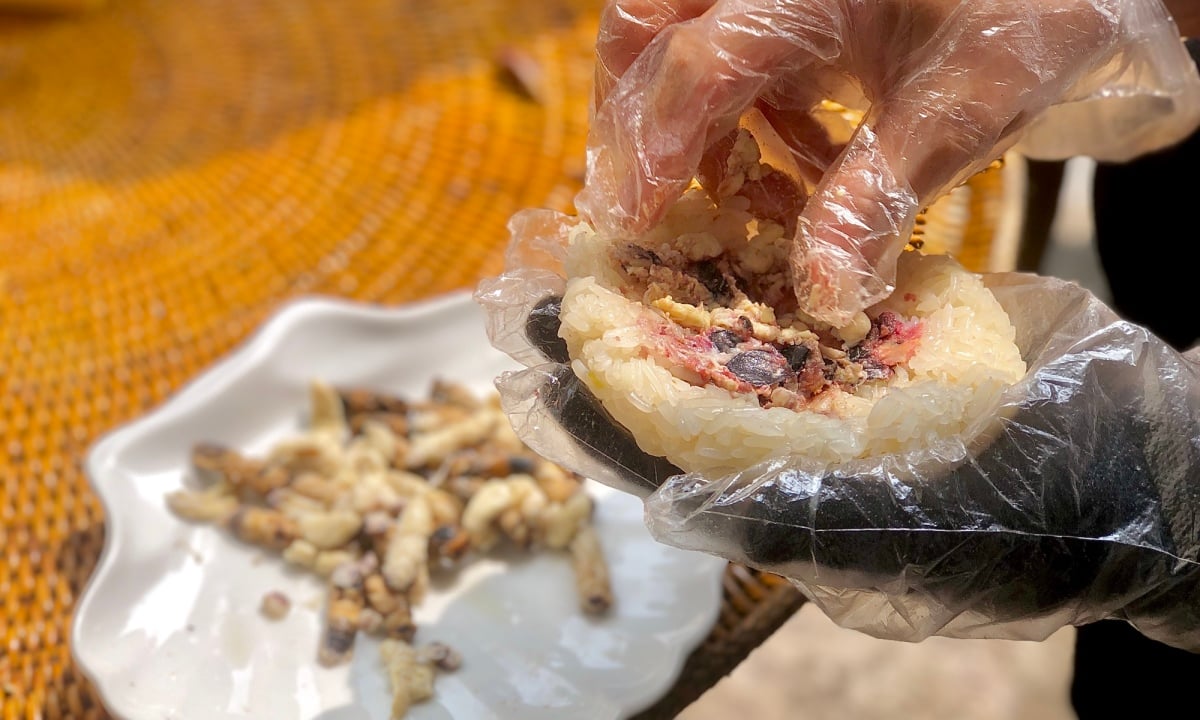 Schwarze Bienenpuppen mit Kanarienvogel - ein kaltes Tagesgericht in Dien Bien