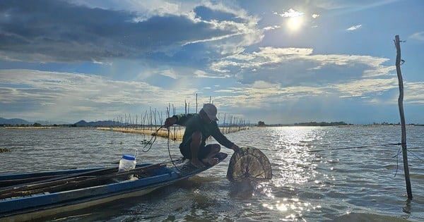 Mưu sinh đầu nguồn lũ Đồng bằng sông Cửu Long