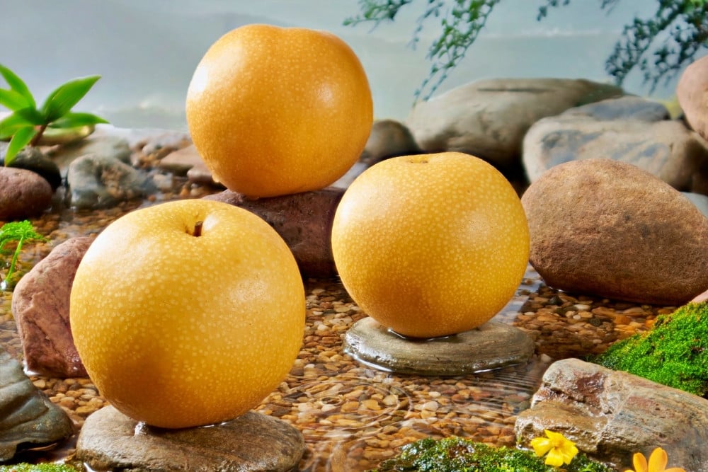 'Giant' Oita pears, expensive prices in Japan's hot spring paradise