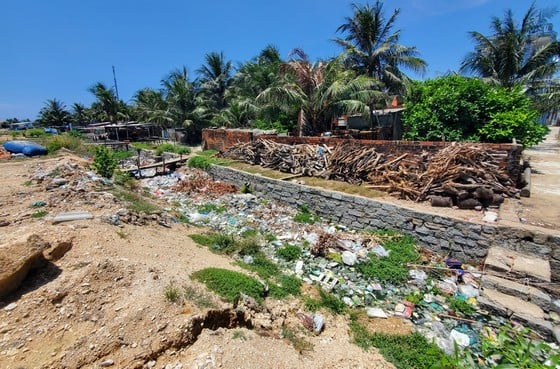 Garbage floods estuaries and fishing ports in Binh Dinh photo 14