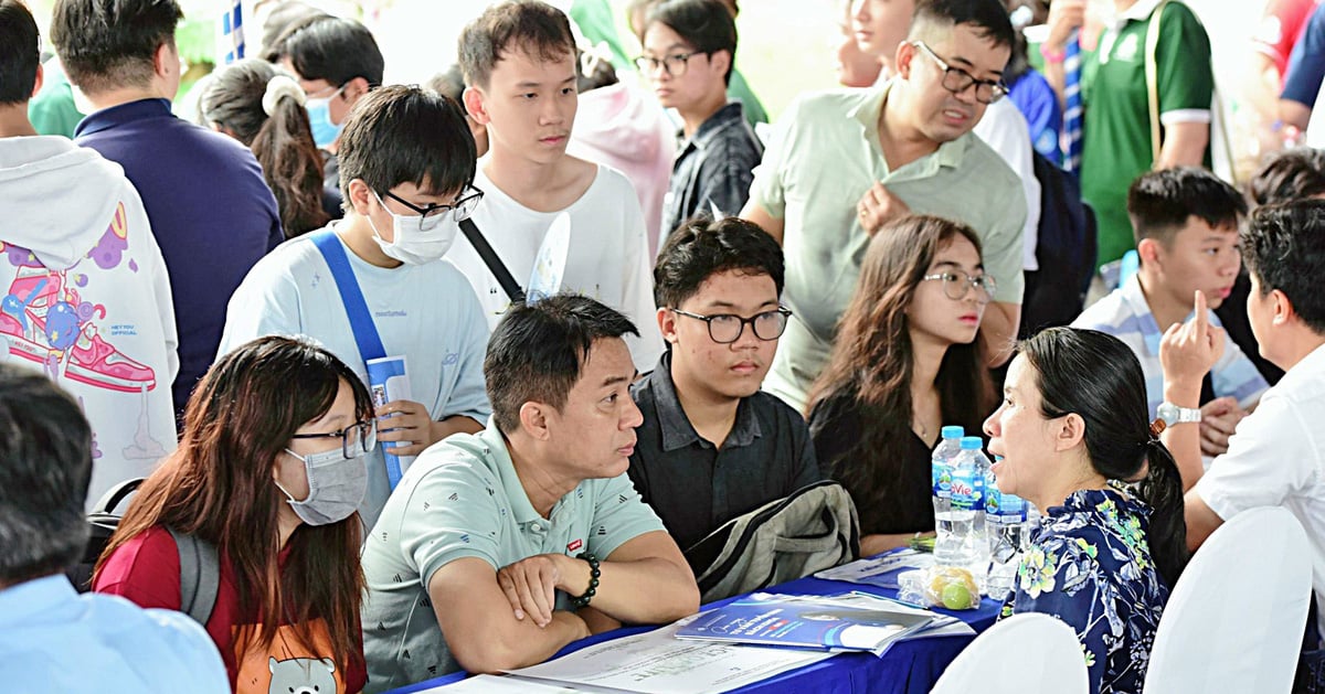 ¿A qué deben prestar atención los nuevos estudiantes al ingresar a la universidad?