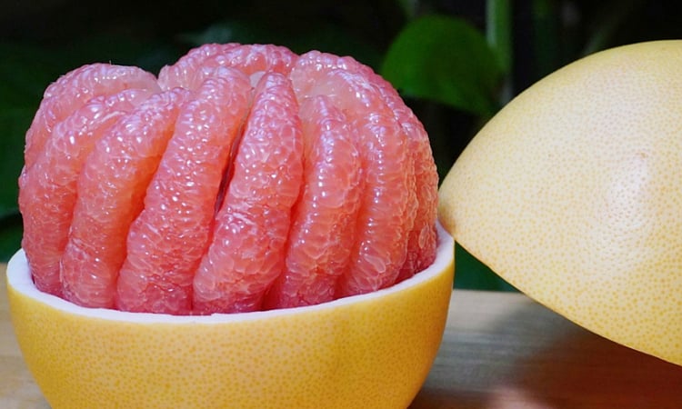 Sollte man nach dem Alkoholkonsum Grapefruit essen?