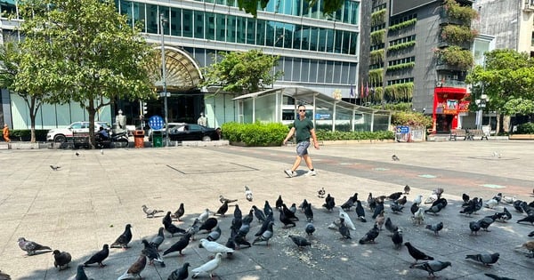 Le Sud connaît à nouveau une chaleur intense, dépassant les 38 degrés Celsius.