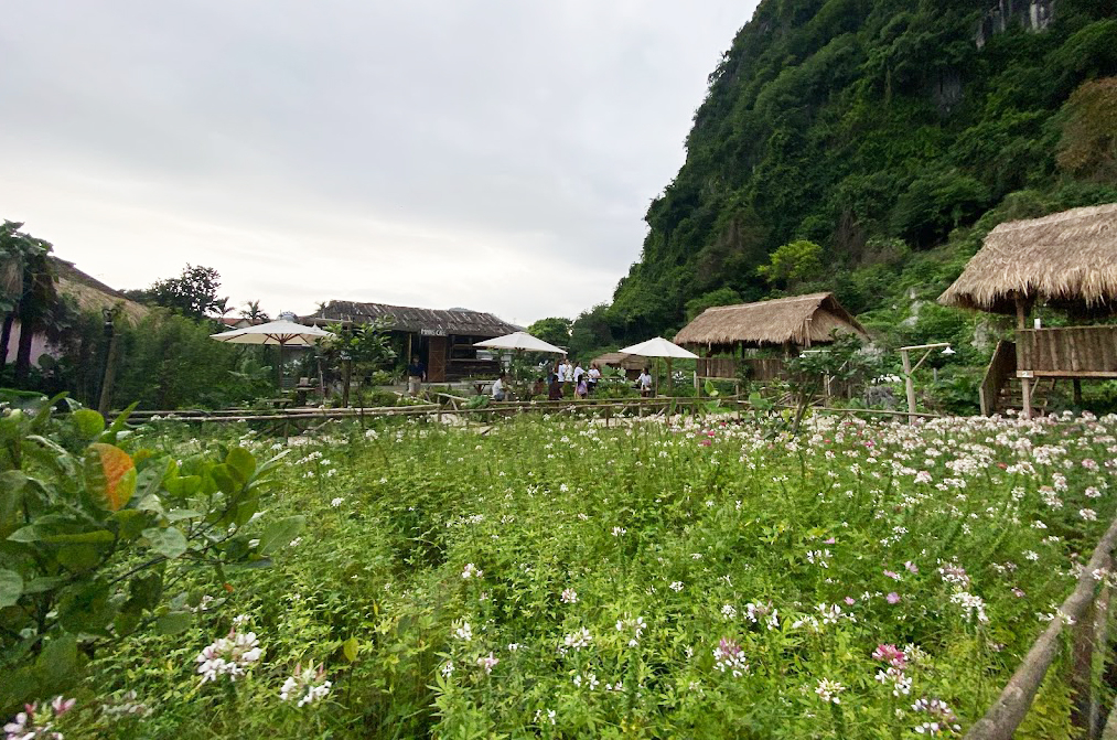 Hoa trái ở Mans Farm được trồng, chăm sóc, thu hoạch theo quy trình nông nghiệp sạch.