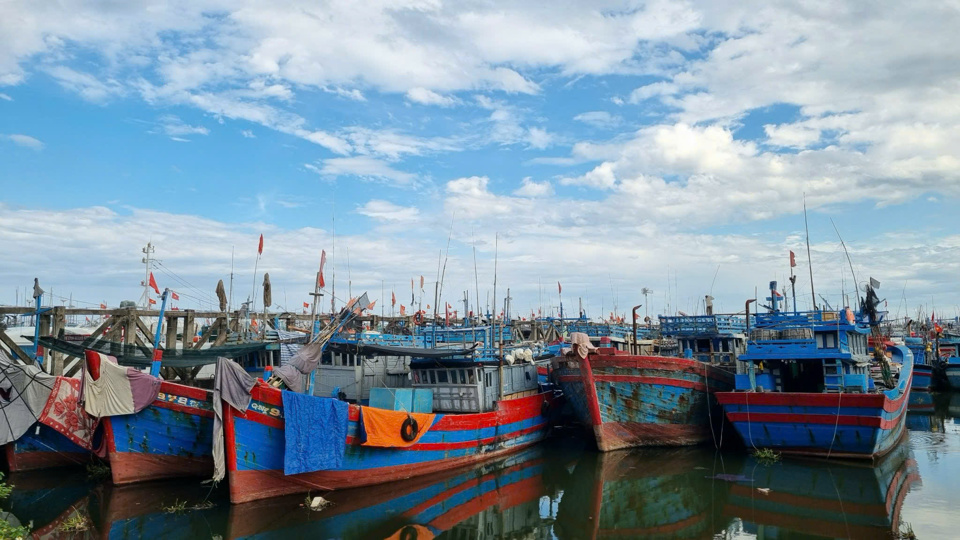 Tinh Hoa Port is where many fishing boats come and go to sell seafood and take shelter from storms.