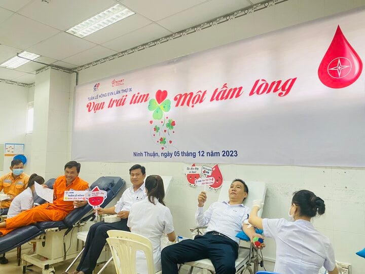 Mitarbeiter der Ninh Thuan Power Company beteiligen sich an freiwilligen Blutspenden. (Foto: EVNSPC)