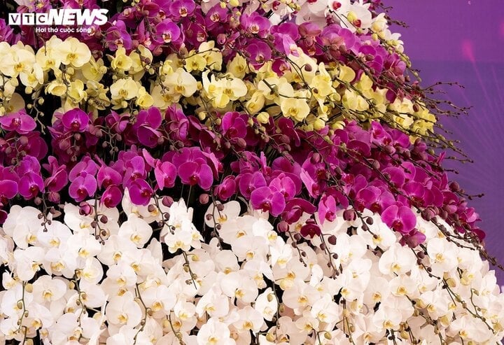 9 capas de flores de diferentes colores de maceta de orquídea 