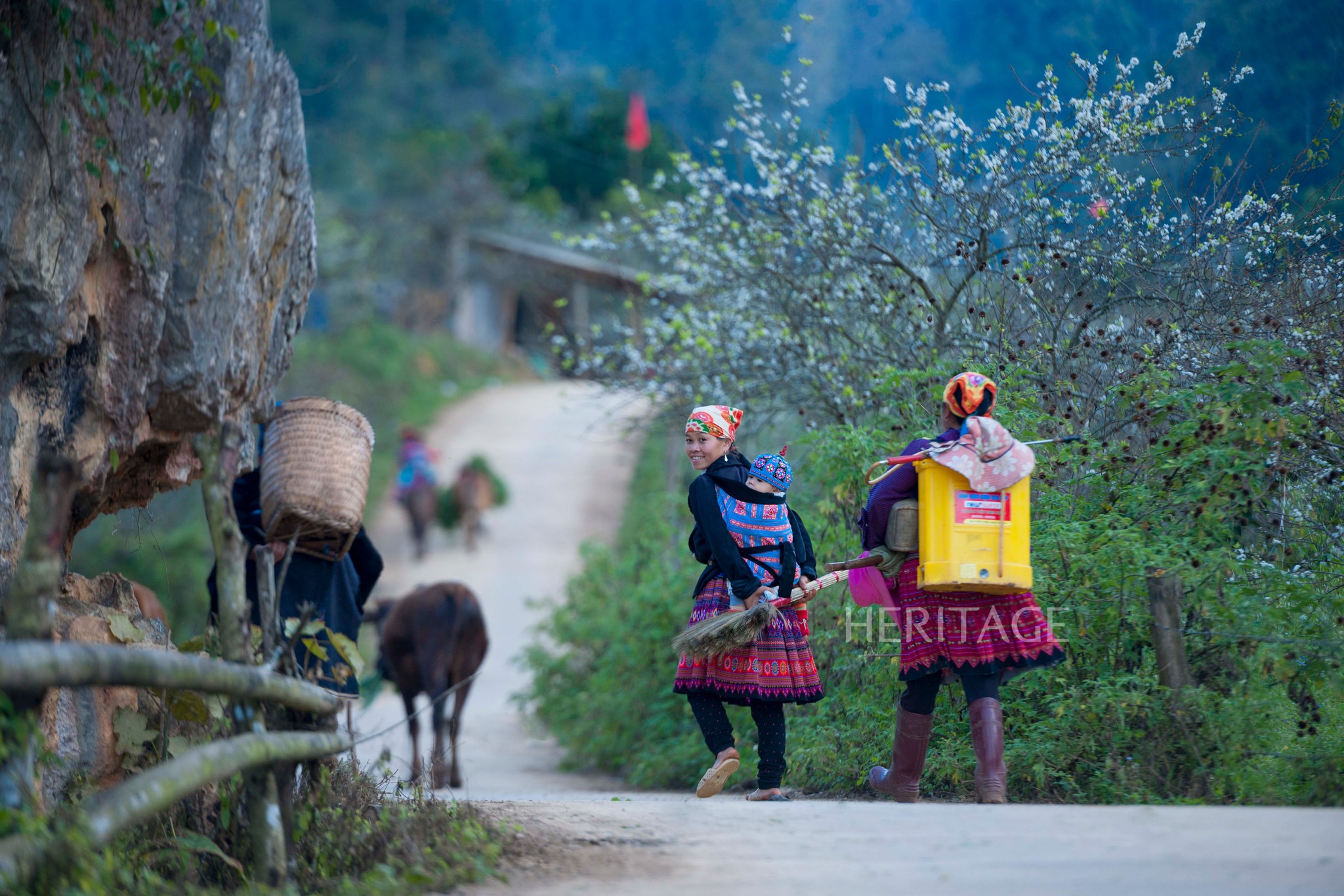 Countryside Tet market