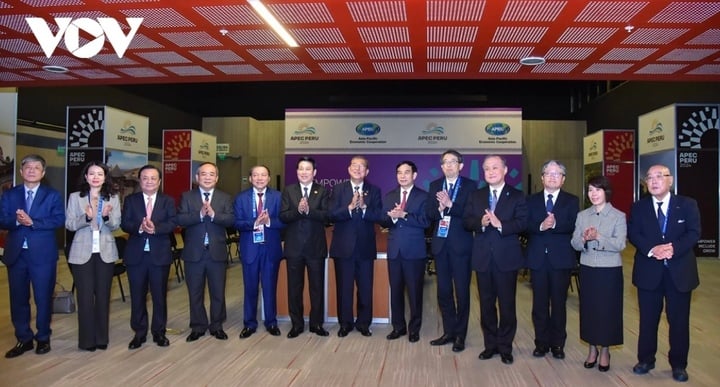 Le président Luong Cuong et le Premier ministre japonais Ishiba Shigeru avec des délégués.