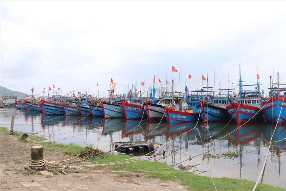 Barcos anclados a lo largo de la costa central.