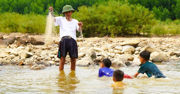 Ngày trồng rừng, đêm đánh cá