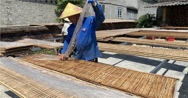 53개 소수민족 정보 수집 조사: 탐즈엉 국경지역 기록