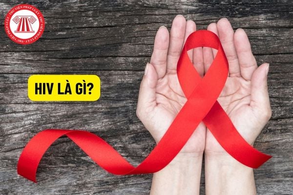 2023年、ベトナムでは新たに10,219件のHIV感染が記録された（画像1）