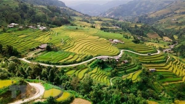 เปิดงาน Paragliding Festival ‘บินเหนือฤดูทอง’ ที่ Mu Cang Chai และโครงการท่องเที่ยว ‘ผ่านทุ่งนาขั้นบันไดแหล่งมรดก’ ที่ Hoang Su Phi