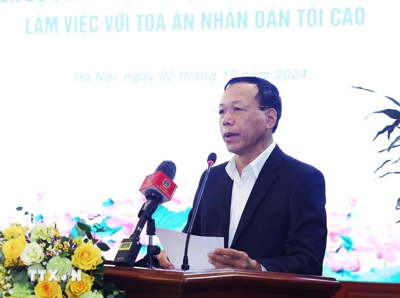 Der ständige stellvertretende Vorsitzende Richter des Obersten Volksgerichtshofs, Nguyen Tri Tue, stellte den Bericht vor. Foto: VNA