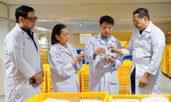 Vietnam se ha unido rápidamente a la carrera para producir vacunas veterinarias.