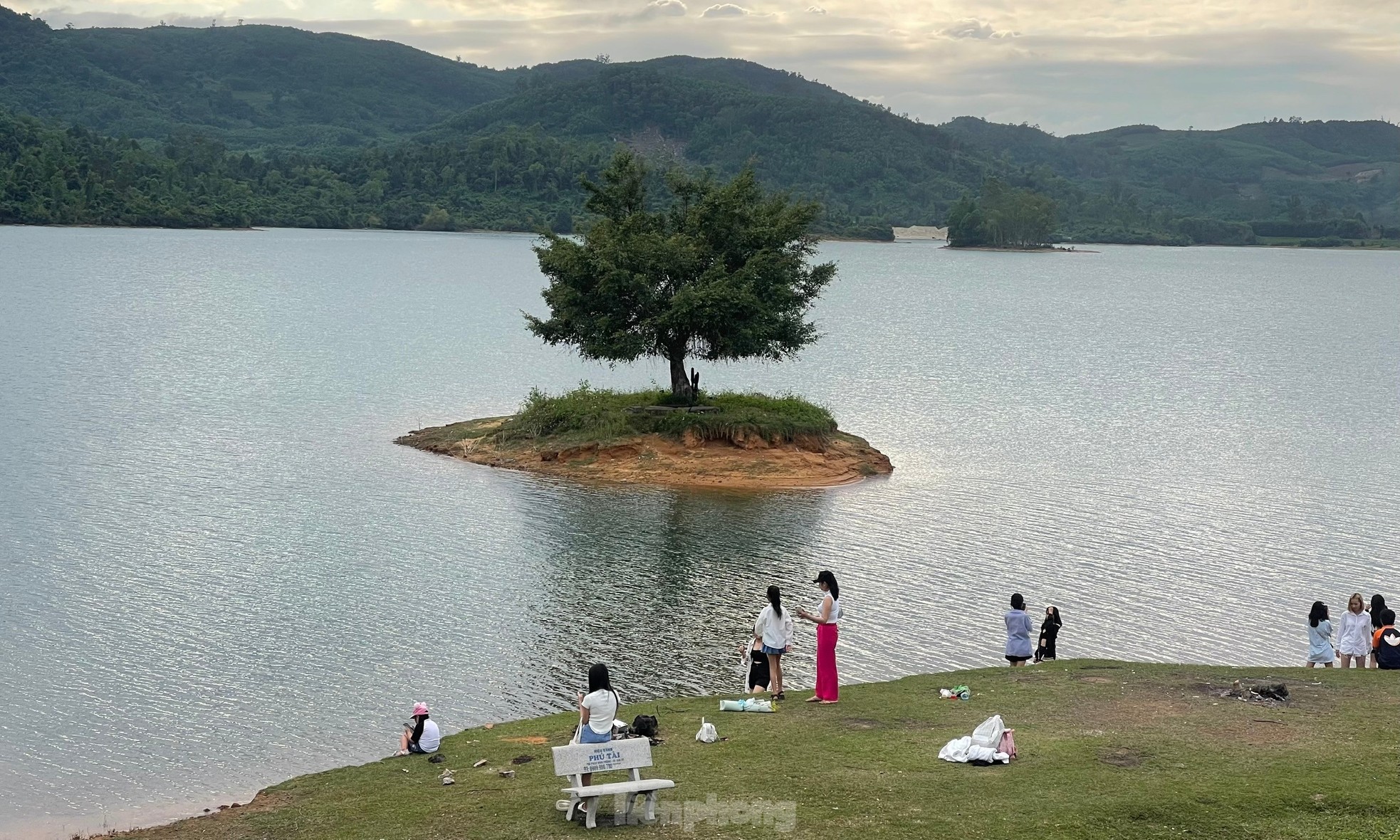 Les jeunes se rassemblent pour prendre des photos à côté de « l'arbre solitaire » à Quang Nam, photo 8