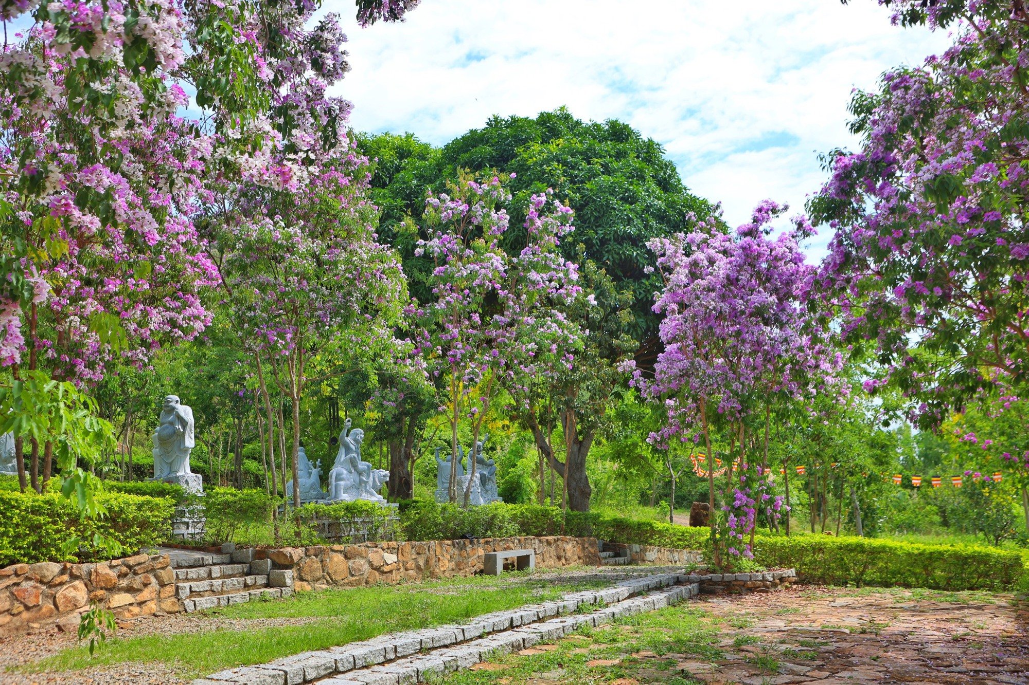 Sắc hoa nơi sơn tự - Ảnh 5.