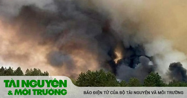 Forest fires in Kazakhstan leave many dead and missing