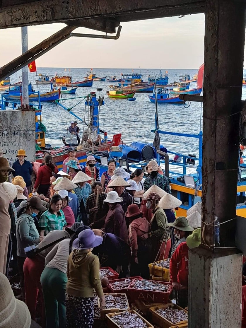 Làng chài Nhơn Lý ở Bình Định đẹp như phim, nhiều người đang đến xem, dân câu cá to dài thế này- Ảnh 14.