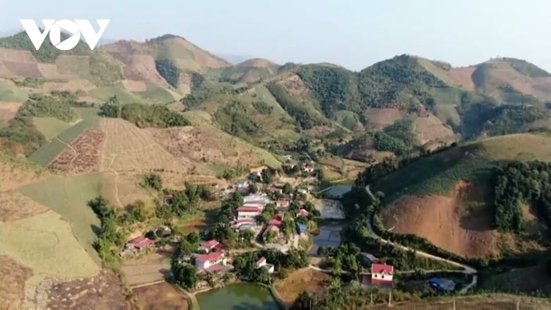 Mujeres miembros del partido Dao son pioneras en la recuperación de tierras, abriendo una salida a la pobreza. Foto 1