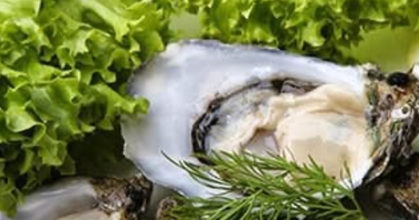 Many people vomited and were hospitalized with suspected poisoning after eating oysters and abalone.