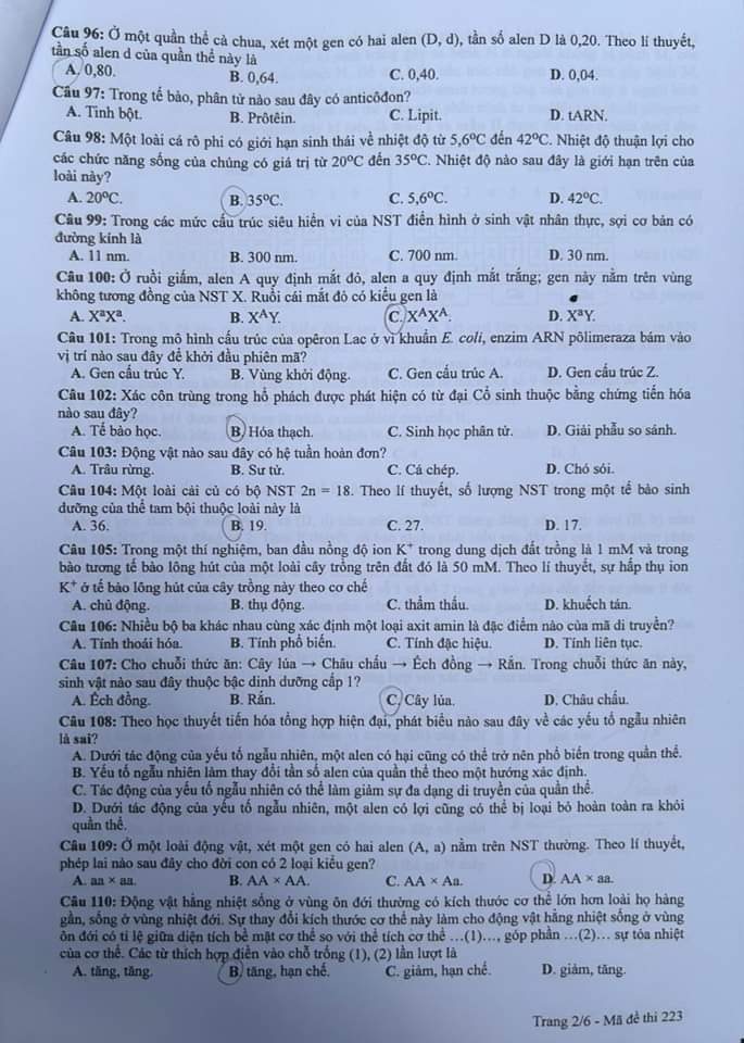 Thi tốt nghiệp THPT 2024: Đề chính thức môn sinh học- Ảnh 2.