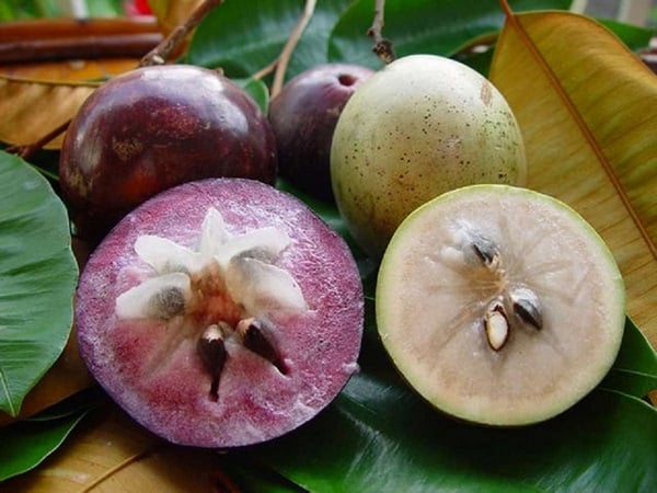 Délicieuse spécialité de pomme étoilée Lo Ren Vinh Kim à Tien Giang | Voyages amusants au Vietnam