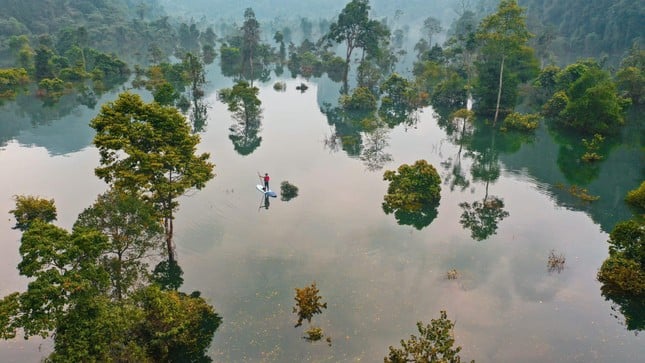 フォンニャ・ケバンは世界生物圏保護区になることを望んでいる 写真 2