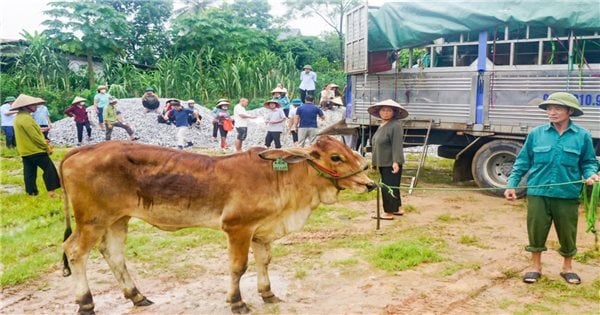 타이응우옌은 빈곤층과 빈곤층 가구에 생산기술 전수를 촉진합니다.