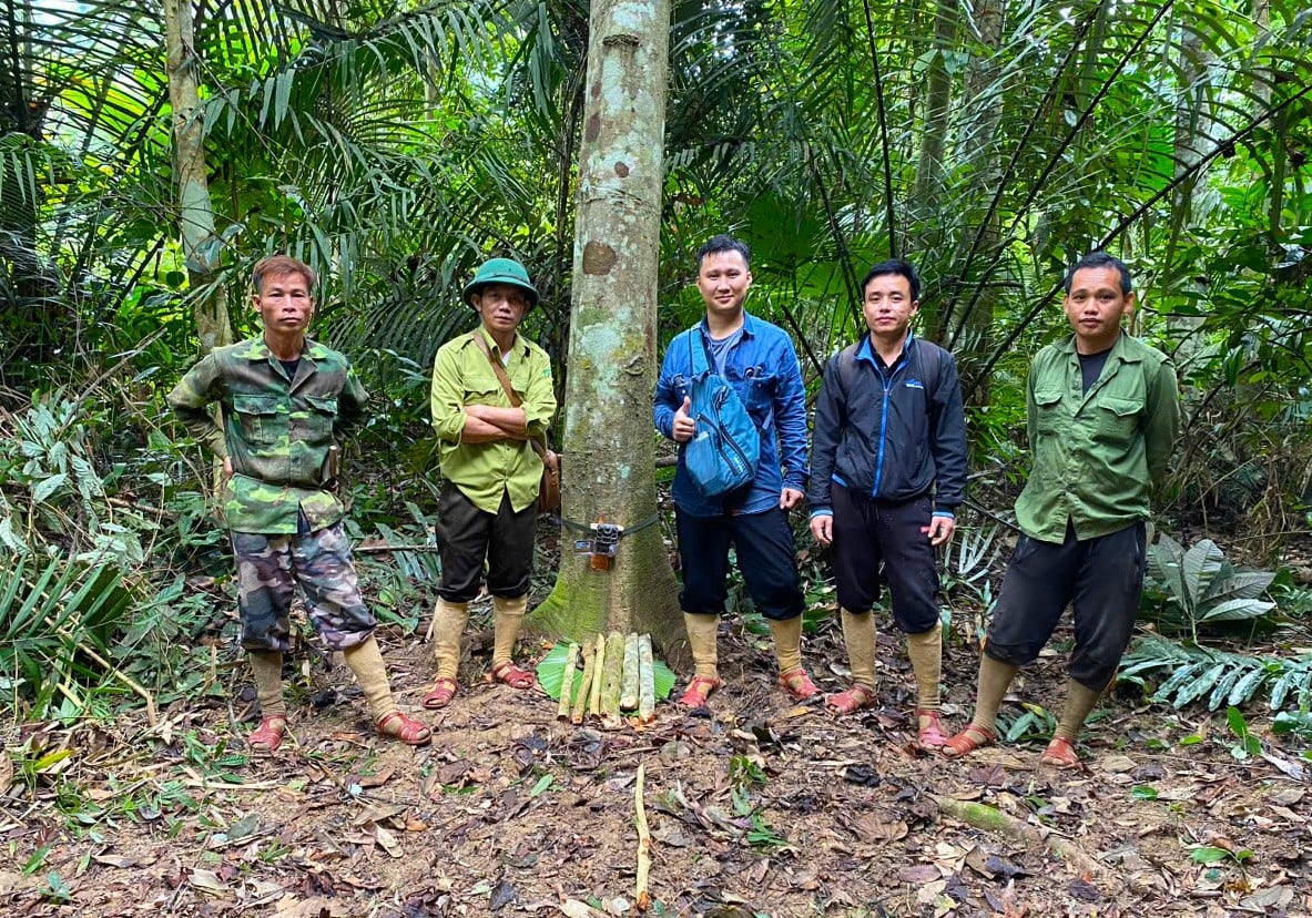 Ranger journey into the forest to set camera traps in Pu Huong Nature Reserve photo 13