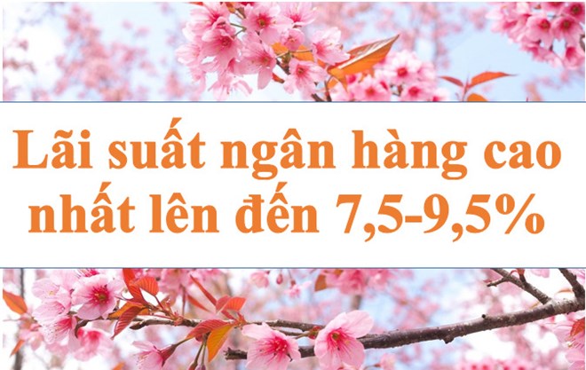 Lãi suất ngân hàng hôm nay 30.8: Cao nhất lên đến 7,5-9,5%