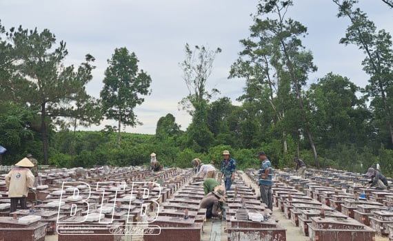 Phấn đấu hoàn thành việc sửa chữa, tu bổ khu mộ liệt sĩ tỉnh Thái Bình trước ngày 30/6/2023