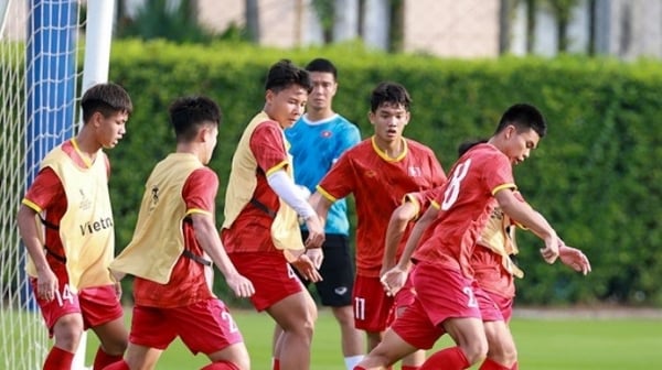 Aunque es el equipo menos favorito frente a Japón Sub-17, Vietnam Sub-17 todavía tiene la ventaja.