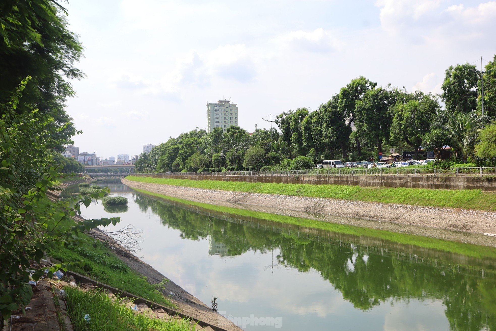 Nước chuyển màu xanh như nước Hồ Gươm, sông Tô Lịch bỗng 'nên thơ, trữ tình' ảnh 4